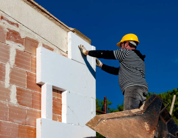 Best Geographic-Specific Insulation Services in Pilot Point, TX