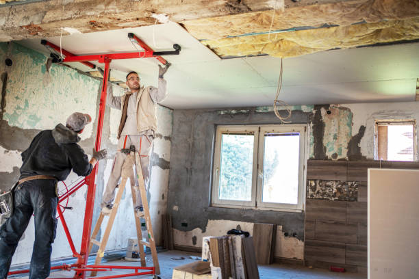 Best Insulation Maintenance and Repair in Pilot Point, TX