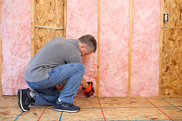 Best Eco-Friendly Insulation in Pilot Point, TX