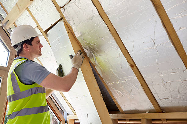 Best Spray Foam Insulation in Pilot Point, TX