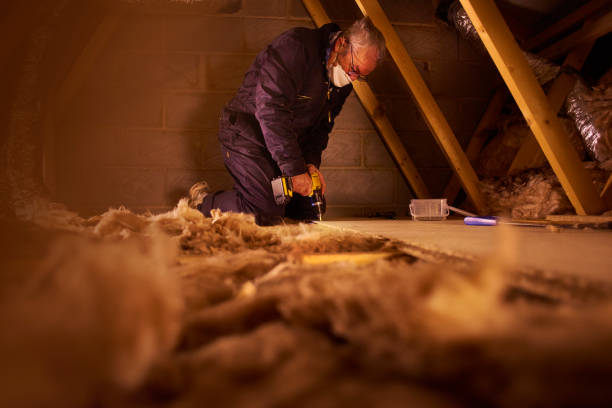 Best Blown-in Insulation in Pilot Point, TX